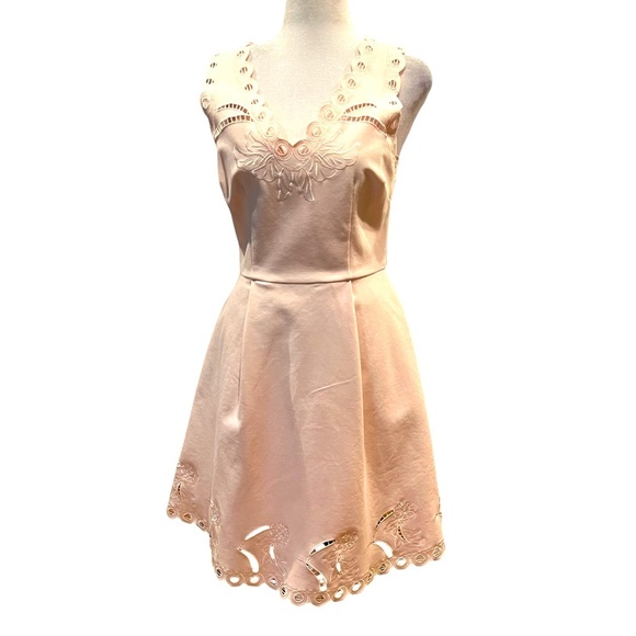 Ted Baker Emalise Pink V-neck Embroidered Skater Dress TB Size 2 - Picture 1 of 14